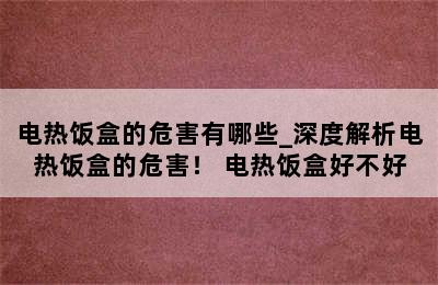 电热饭盒的危害有哪些_深度解析电热饭盒的危害！ 电热饭盒好不好